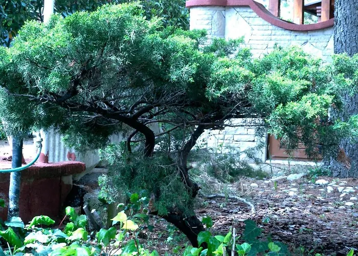 Vila Albatros Nocleg ze śniadaniem