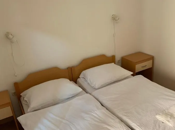 Bed and Breakfast Vila Albatros Ρόβινι