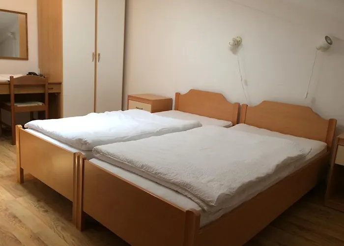 Vila Albatros 3* Ρόβινι